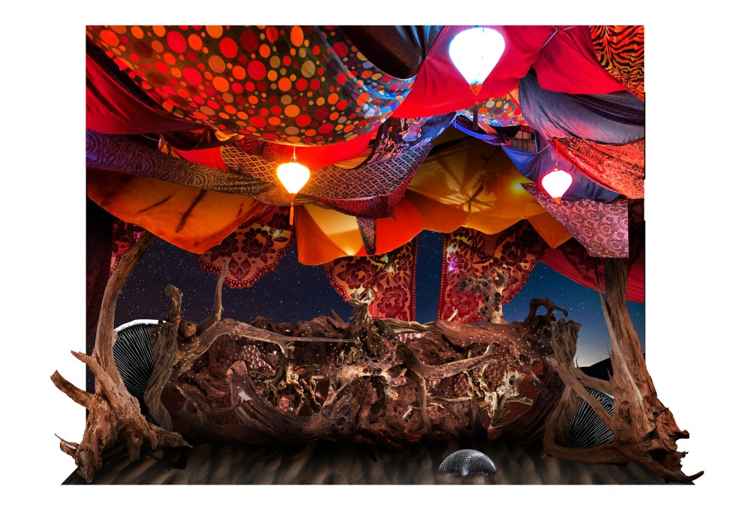 Articol fără titlu 2521